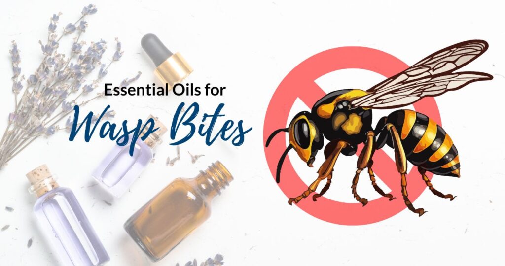 Essential Oils good for wasp bites